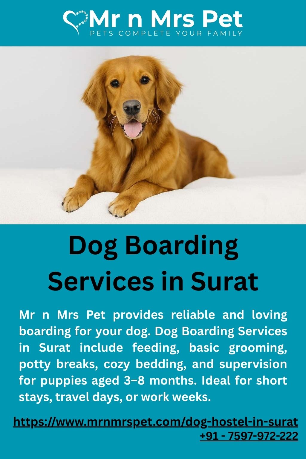 Dog Boarding Services in Surat